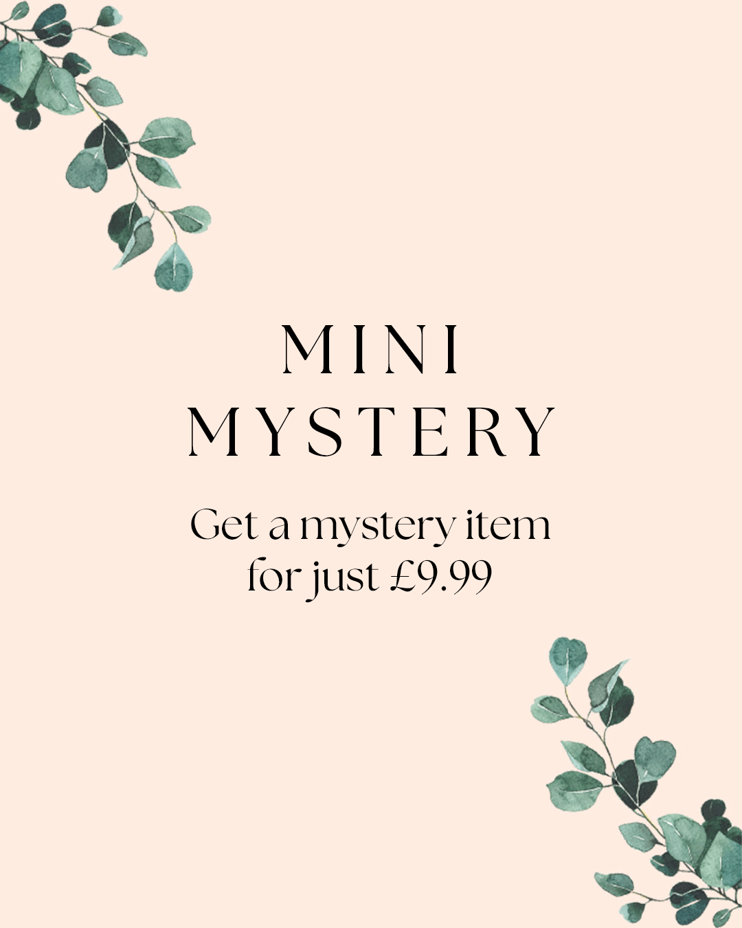 The Mini Mystery
